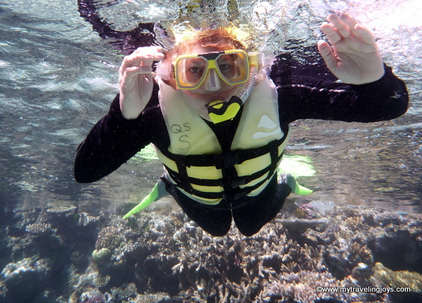 Great barrier reef tour price table ; Under The Sea Snorkeling In The Great Barrier Reef My Traveling Joys