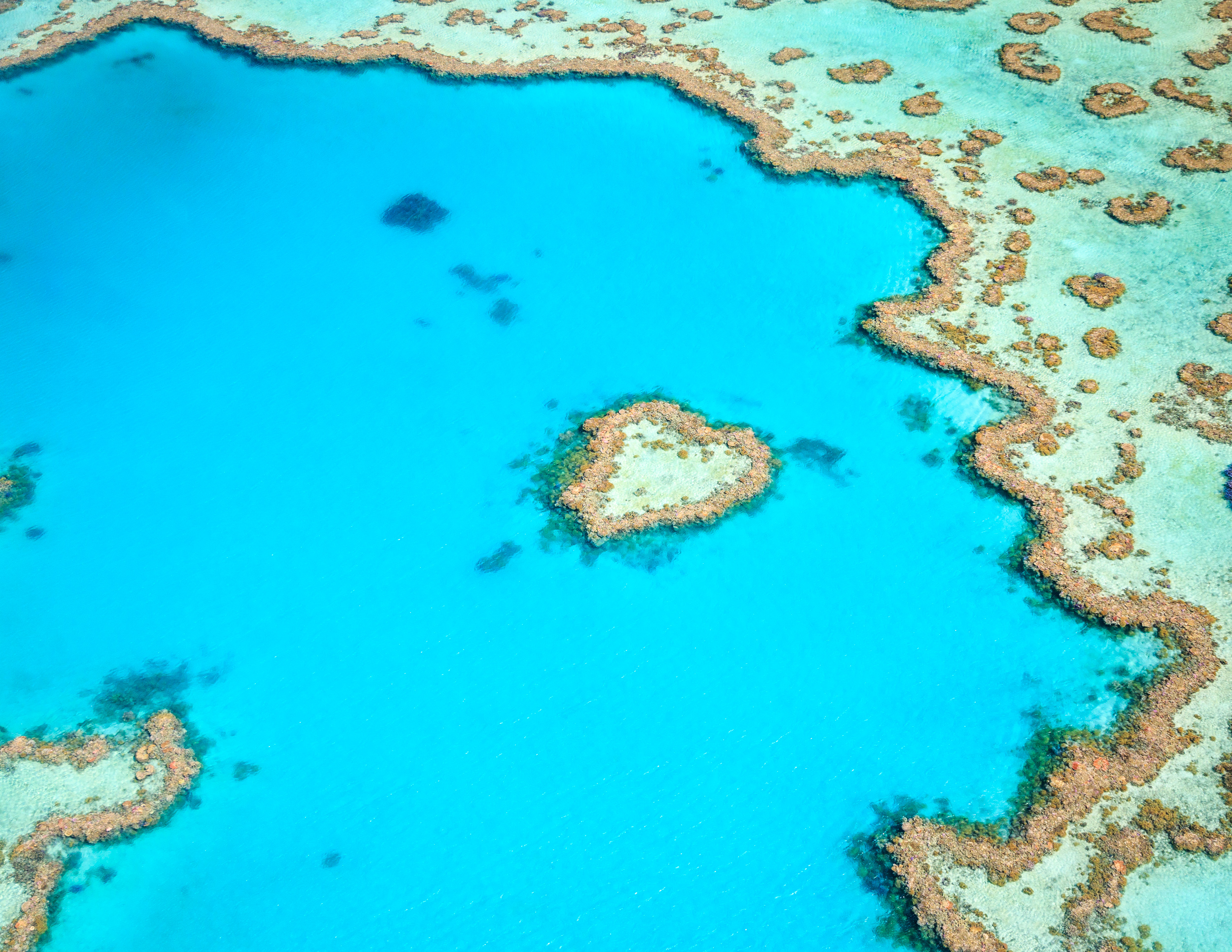 The whitsundays offer visitors an amazing great barrier reef experience including being able to fly over, cruise to and snorkel and dive on this vast living . Top Ten Things To Do In The Whitsundays Walk My World