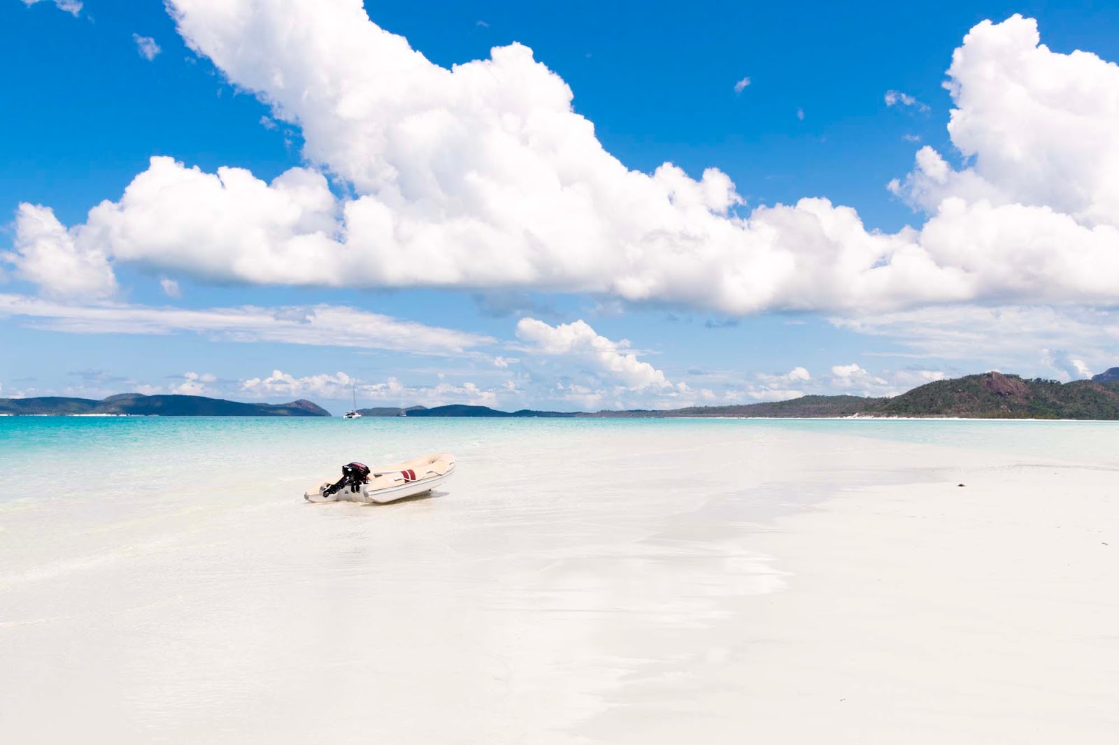 See estuarine crocodiles in the wild in the whitsundays. The Best Whitehaven Beach Tour With Cruise Whitsundays Explore Shaw
