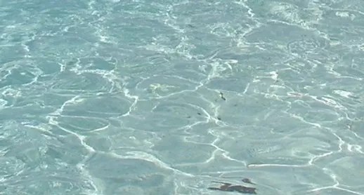 Insurance rates in texas and other states fluctuate, so insuring your boat takes a few, yet simple, steps. Home Sea Dragon