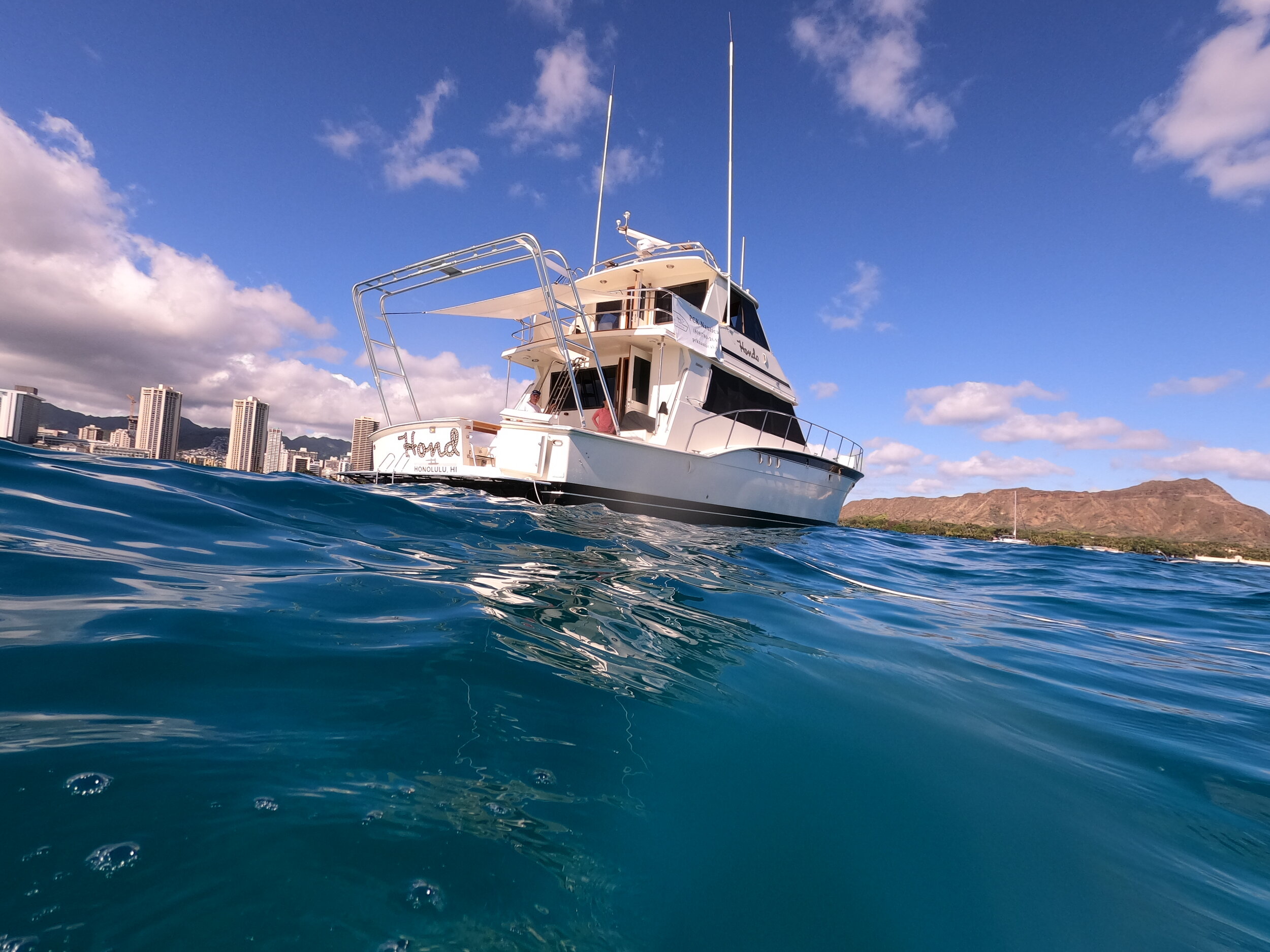 While sailing in honolulu we often see for instance, hawaiian green sea turtles lazing in the sun. Book Private Cruise In Oahu Yacht Charters Honolulu Pck Nautical