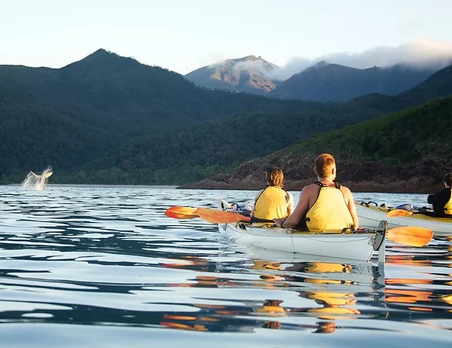 Explore the stunning whitsunday islands by sea kayak explore the. Multi Day Kayak Trips In Whitsundays Australia Coral Sea Kayaking