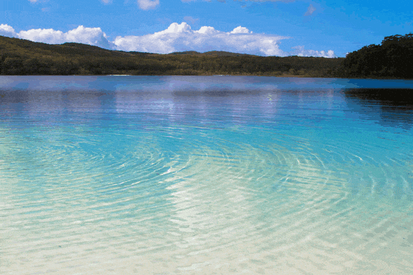 19+ Best Fraser Island And Whitsundays&nbsp;Trip