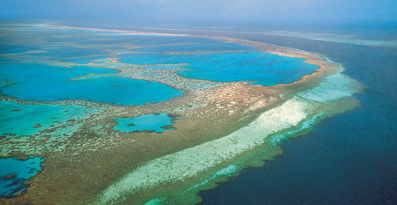 27+ Wonderful Great Barrier Reef Australia Vacation&nbsp;Trip