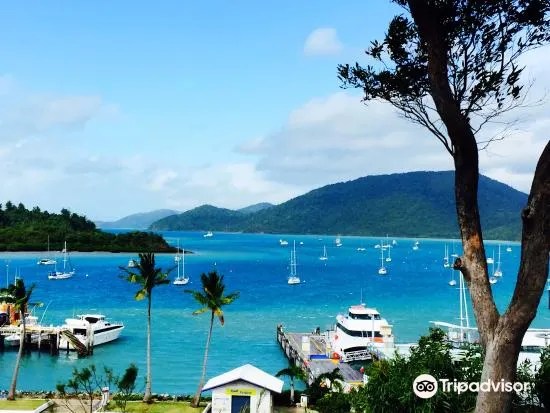 19+ Amazing Cruise Whitsundays Shute Harbour&nbsp;Trip