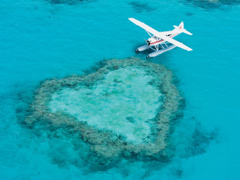 20+ Wonderful Explore Whitsundays Holiday