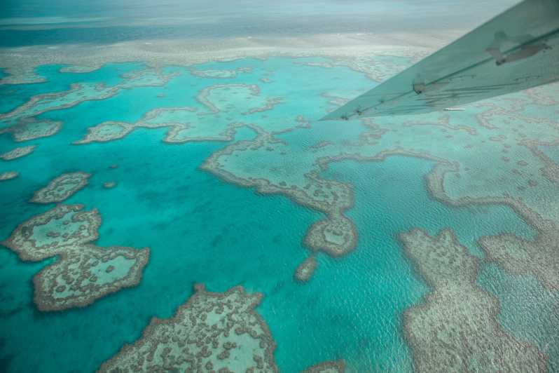 33+ Best Joy Flights Airlie Beach Excursion