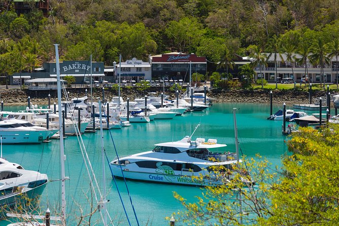 36+ Wonderful Whitsundays Dinner Cruise&nbsp;Holiday