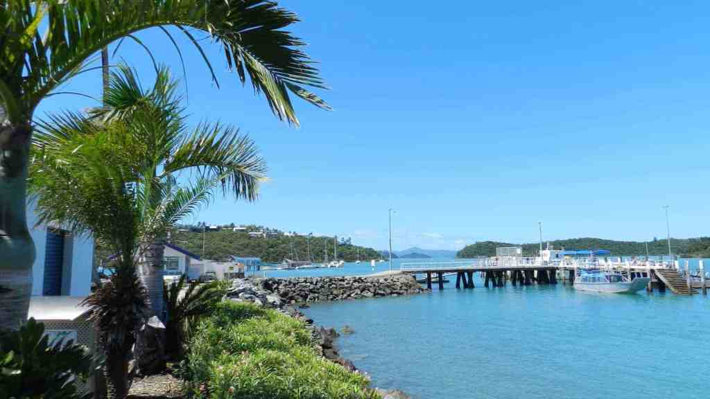 33+ Amazing New Horizon Sailing Whitsundays&nbsp;Holiday