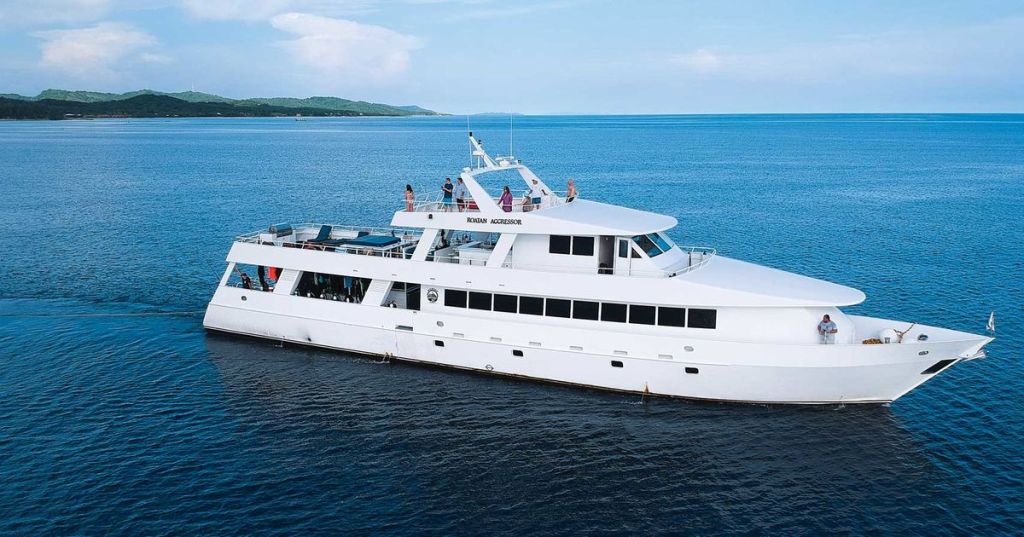 13+ Best Liveaboard Scuba Diving&nbsp;Holiday