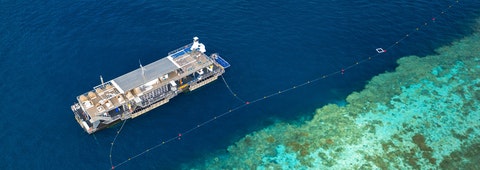 27+ Exploring Whitsundays Cruise From Hamilton Island&nbsp;Sightseeing