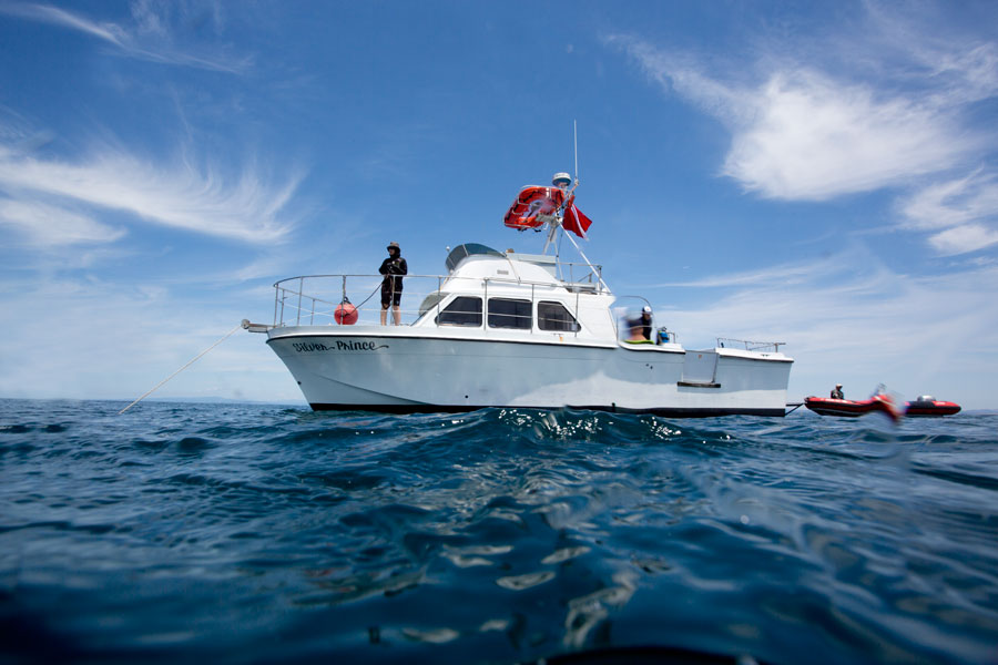 19+ Top Diving Boats&nbsp;Excursion