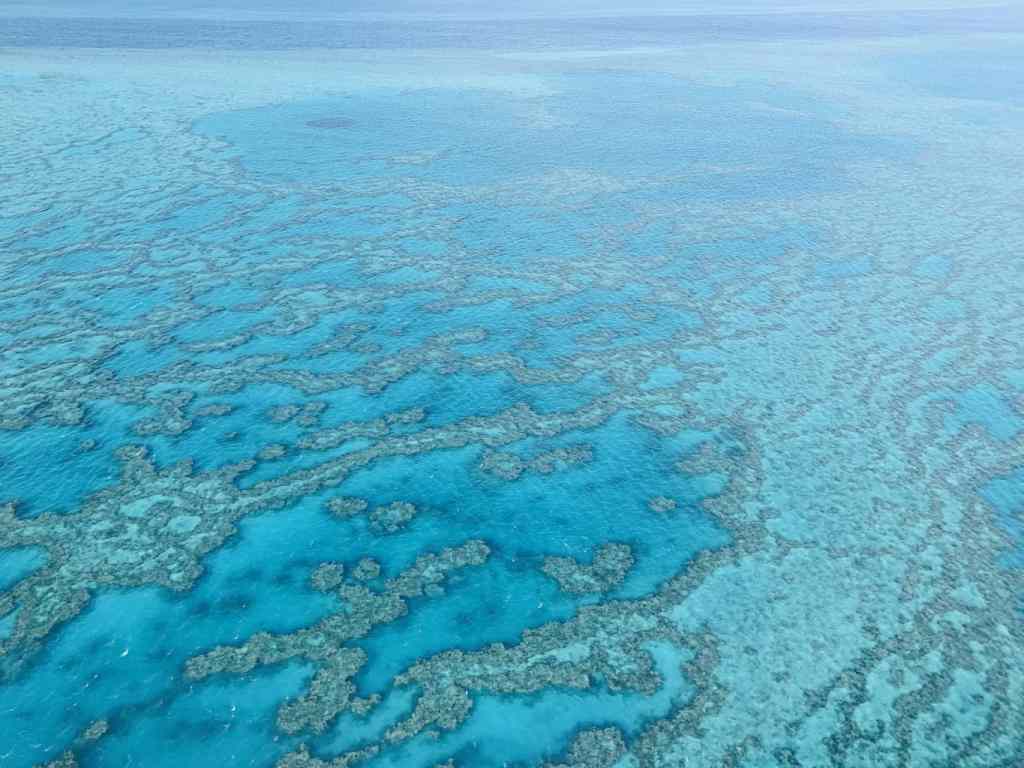 49+ Top Great Barrier Reef Or Whitsundays Trip