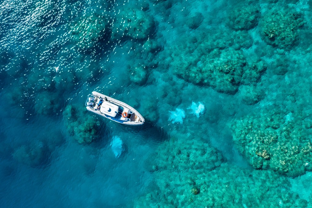 A pontoon boat is like a floating patio. Private Day Charters Freedom Exclusive Charters