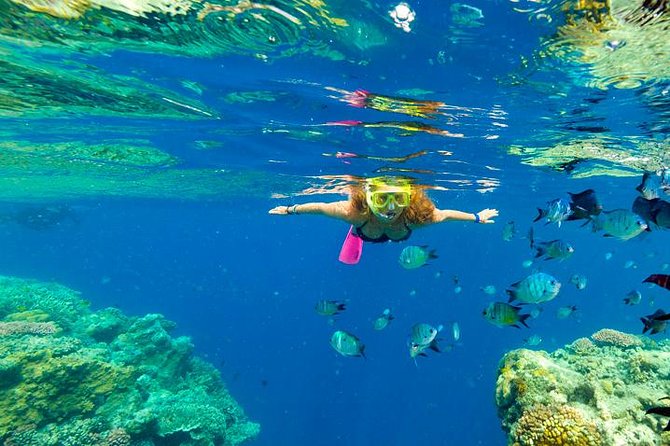 38+ Amazing Hamilton Island To Airlie Beach Timetable&nbsp;Tour